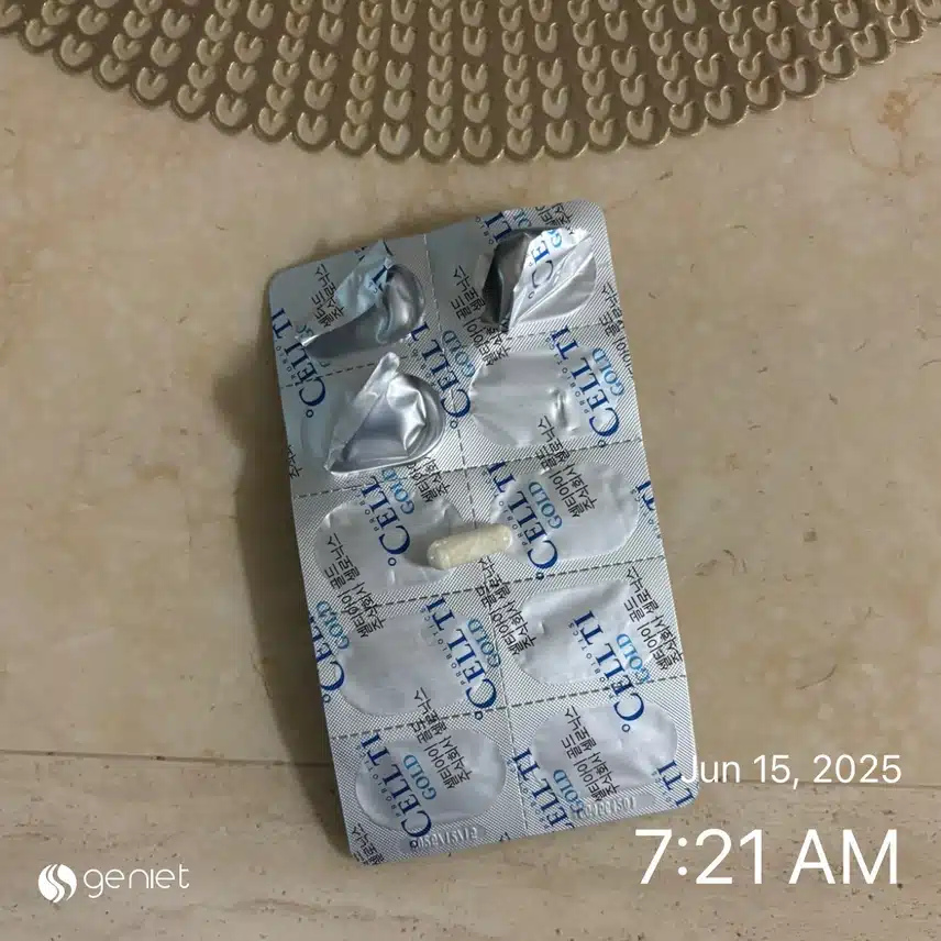 유산균💊