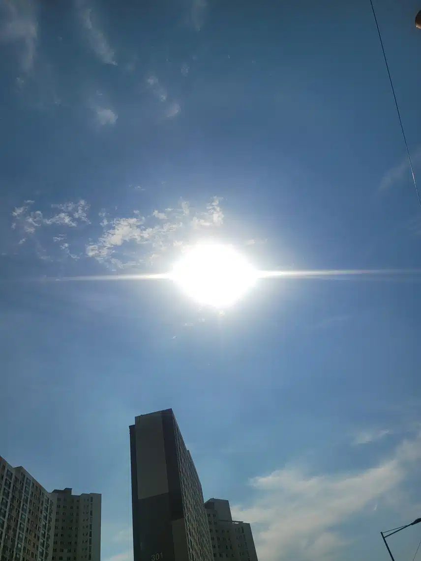 해가 강렬하네요 ☀️