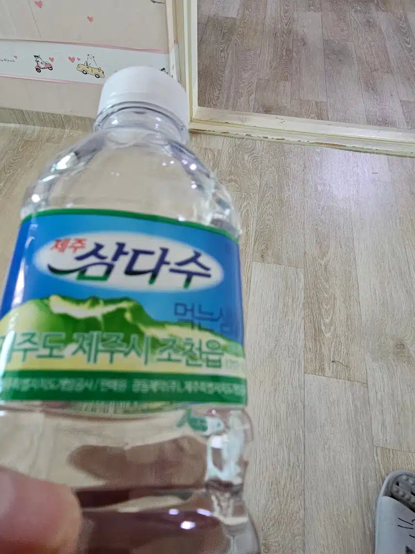 인증 