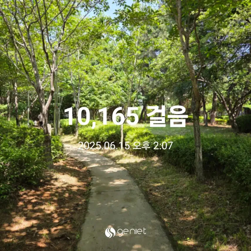 일찌감치 만보 걸었어요 