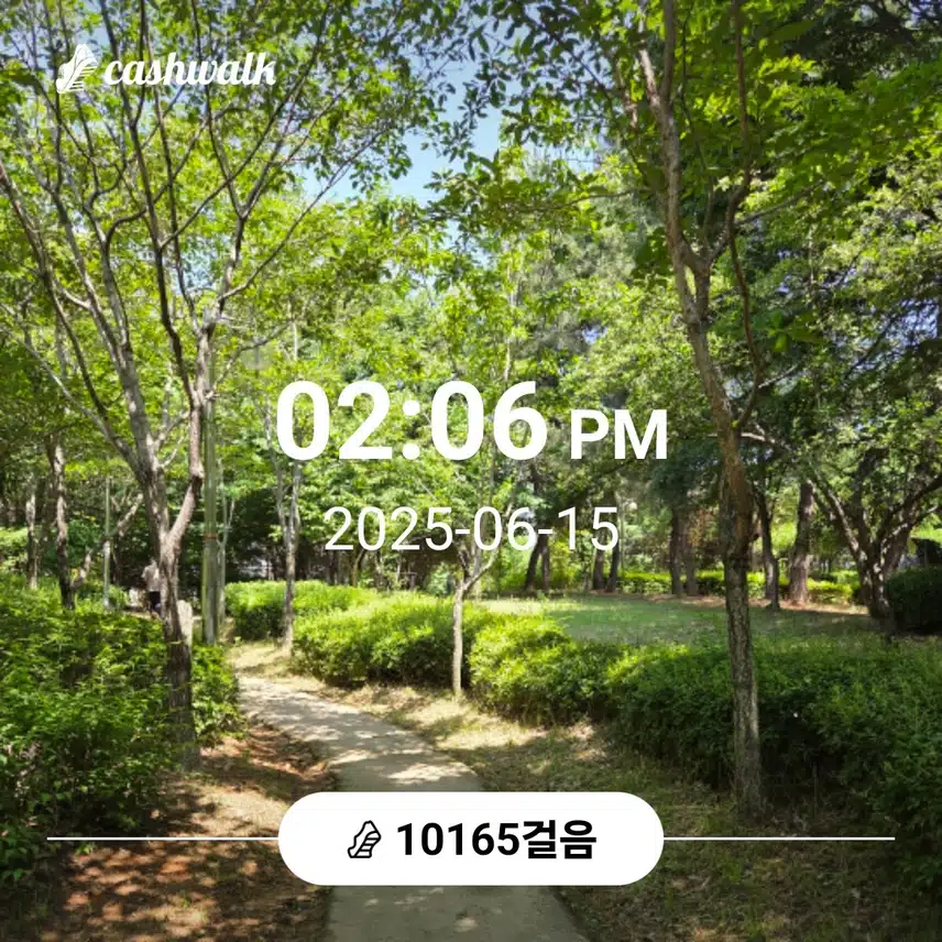일찌감치 만보 걸었어요 