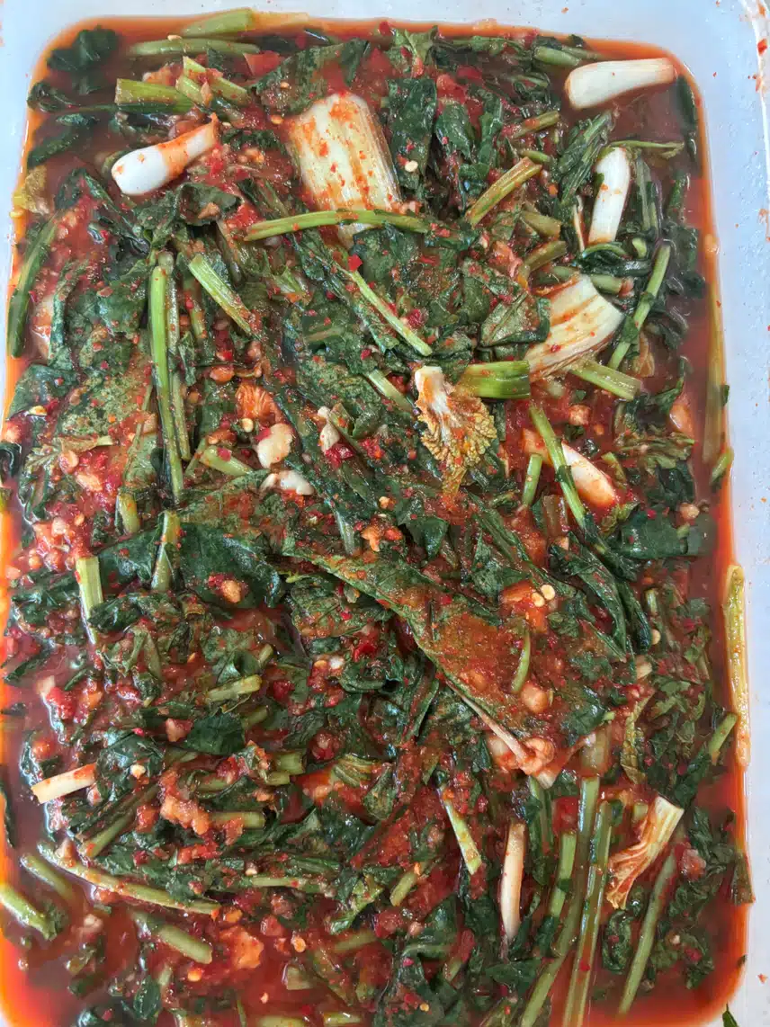 열무김치