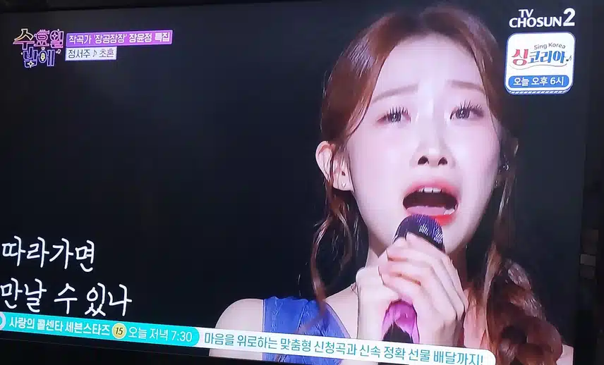 정서주양이 초혼 불렀어요 