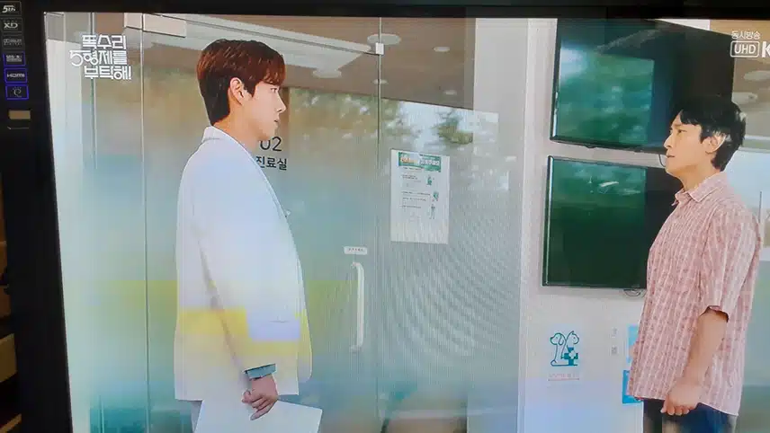 사과하러 동물병원장을만나러갔어요
