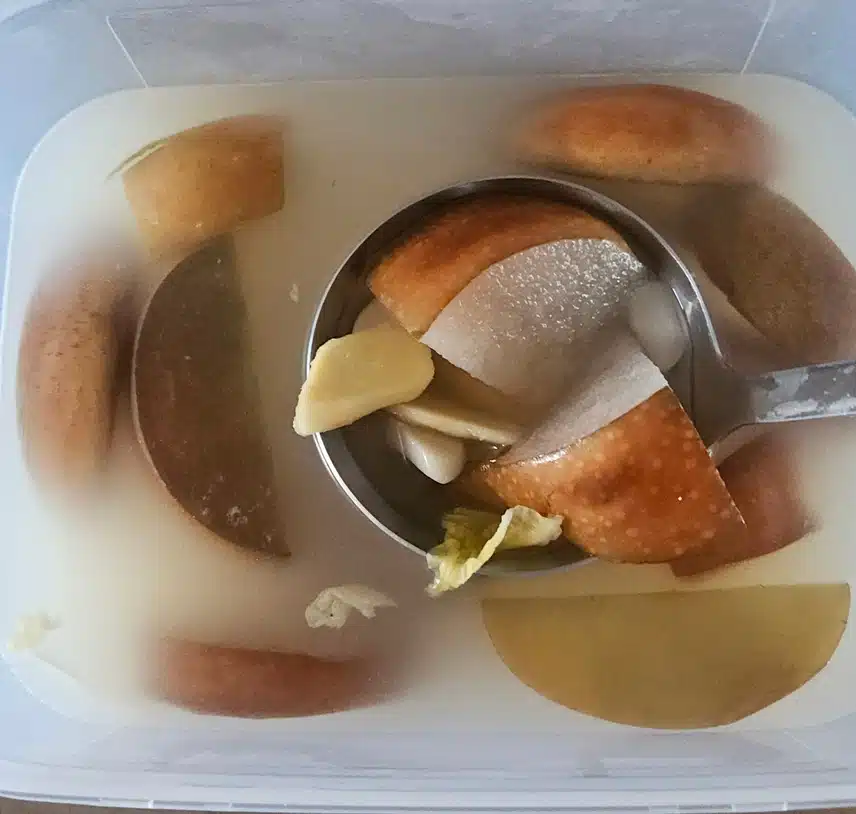 동치미 국물 둥글레 국수 🍜  🍎🫚
