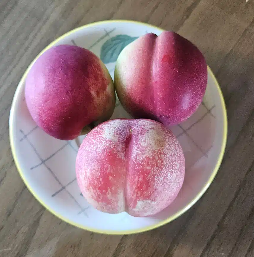 🍑과즙 팡팡  신비복숭아 🍑