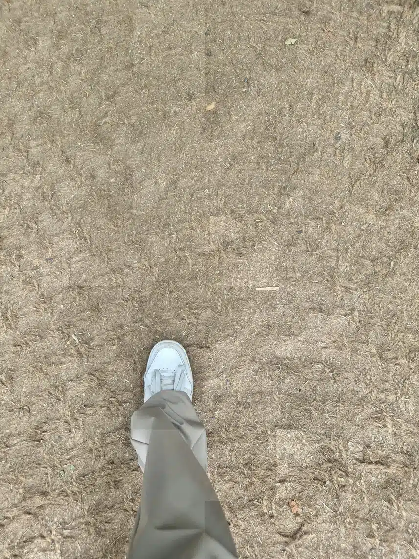 뒷산