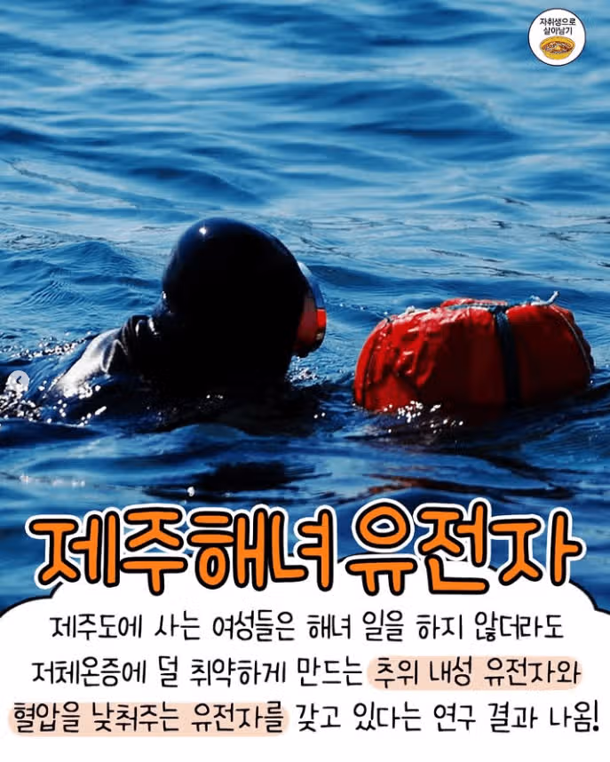 실제로 있는 신기한 유전자 모음
