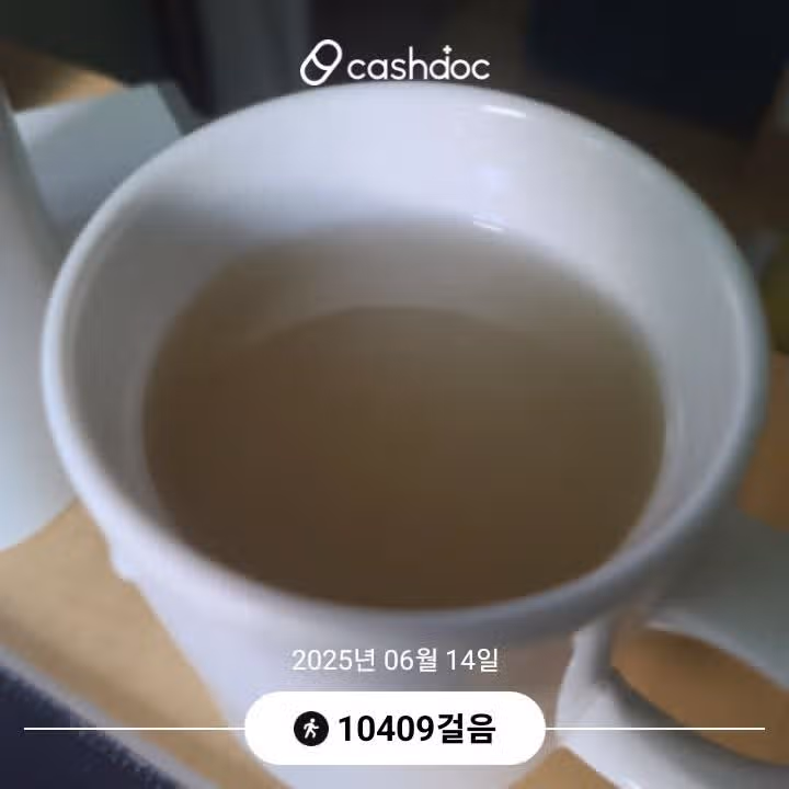 14일 만보 걷기