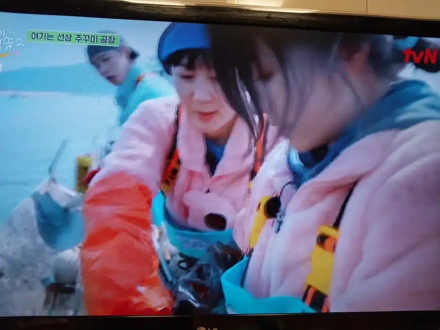 보령 주꾸미조업 일 잘해요