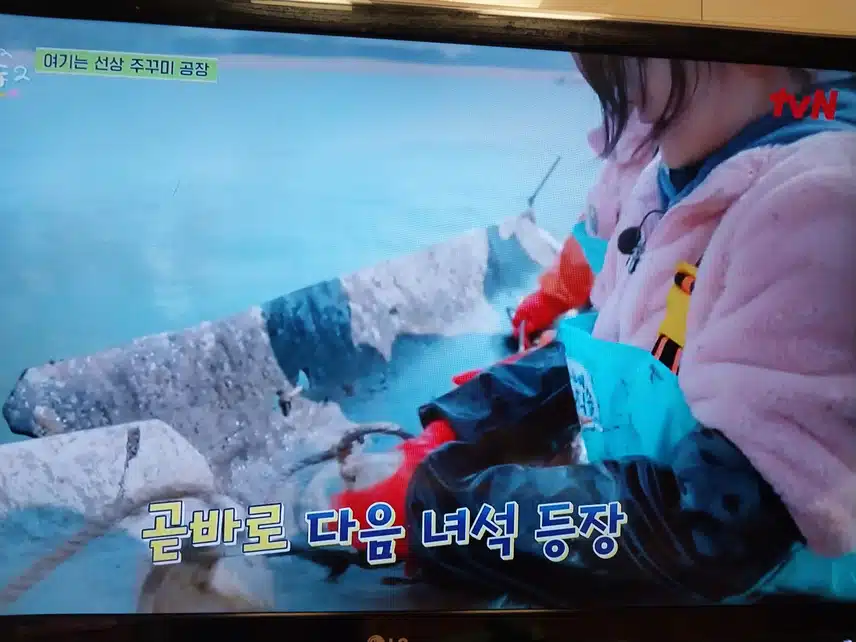 보령 주꾸미조업 일 잘해요