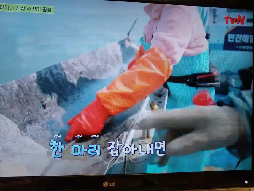보령 주꾸미조업 일 잘해요