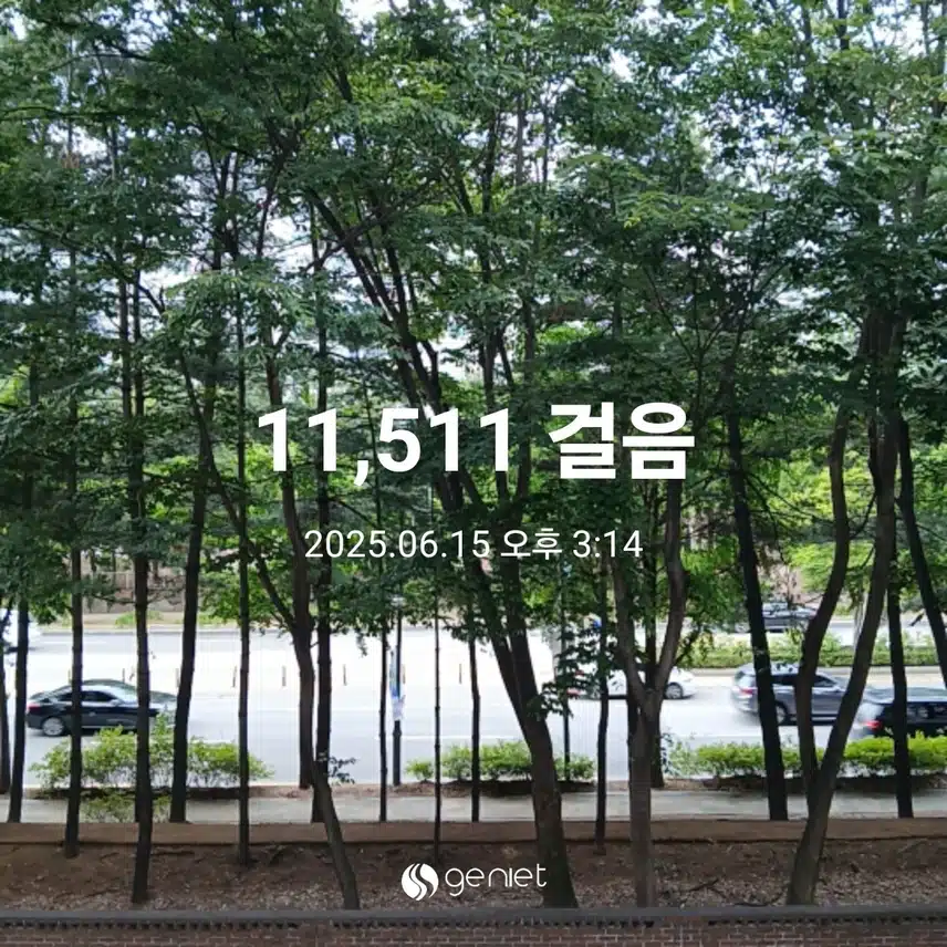 일요일 걷기운동^^