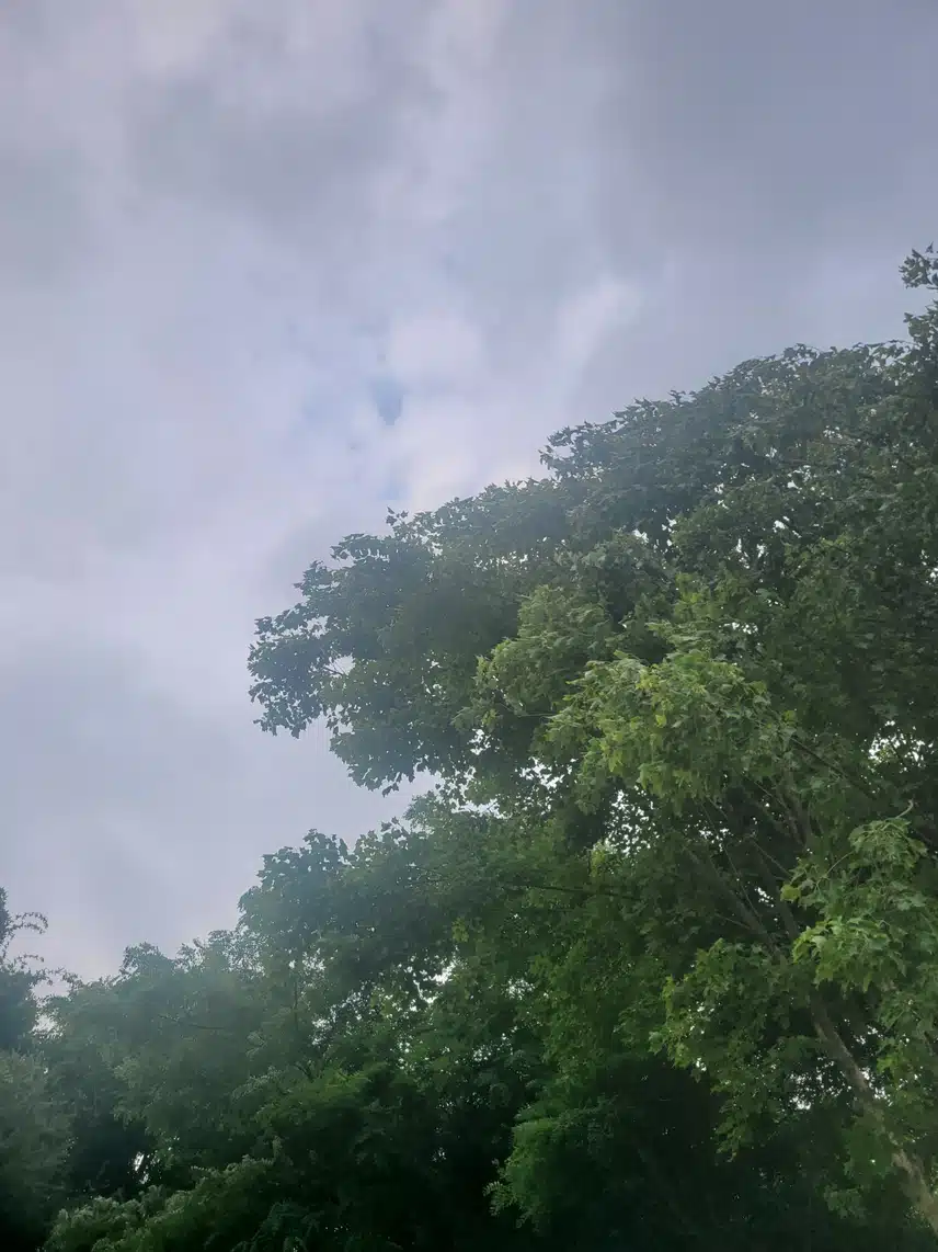 습해요