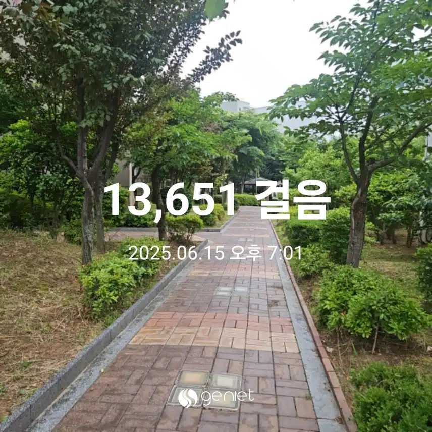 저녁 산책으로 마무리합니다.