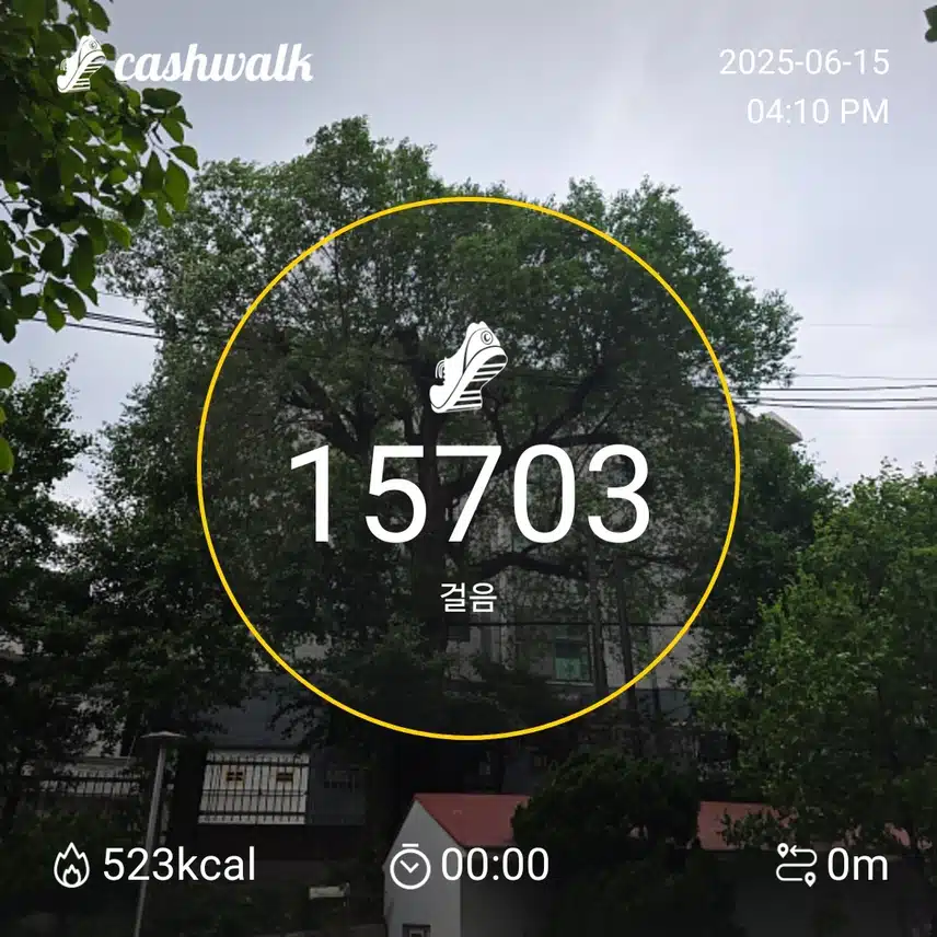 일요일 마무리