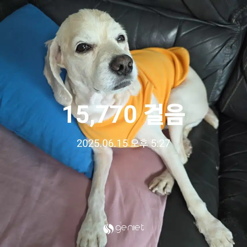 일요일 마무리