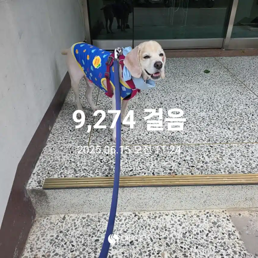 일요일 마무리