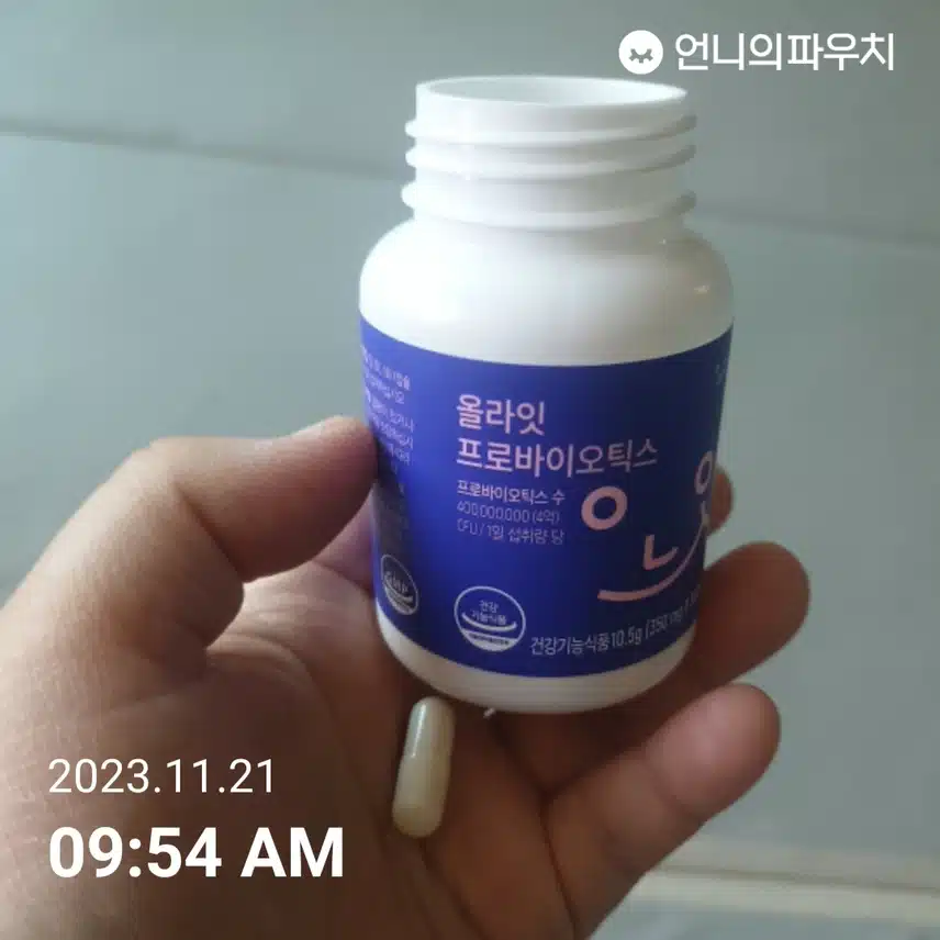 굿모닝 하셨지요?