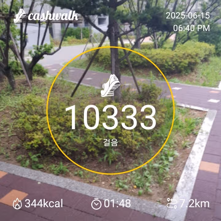 만보걷기 