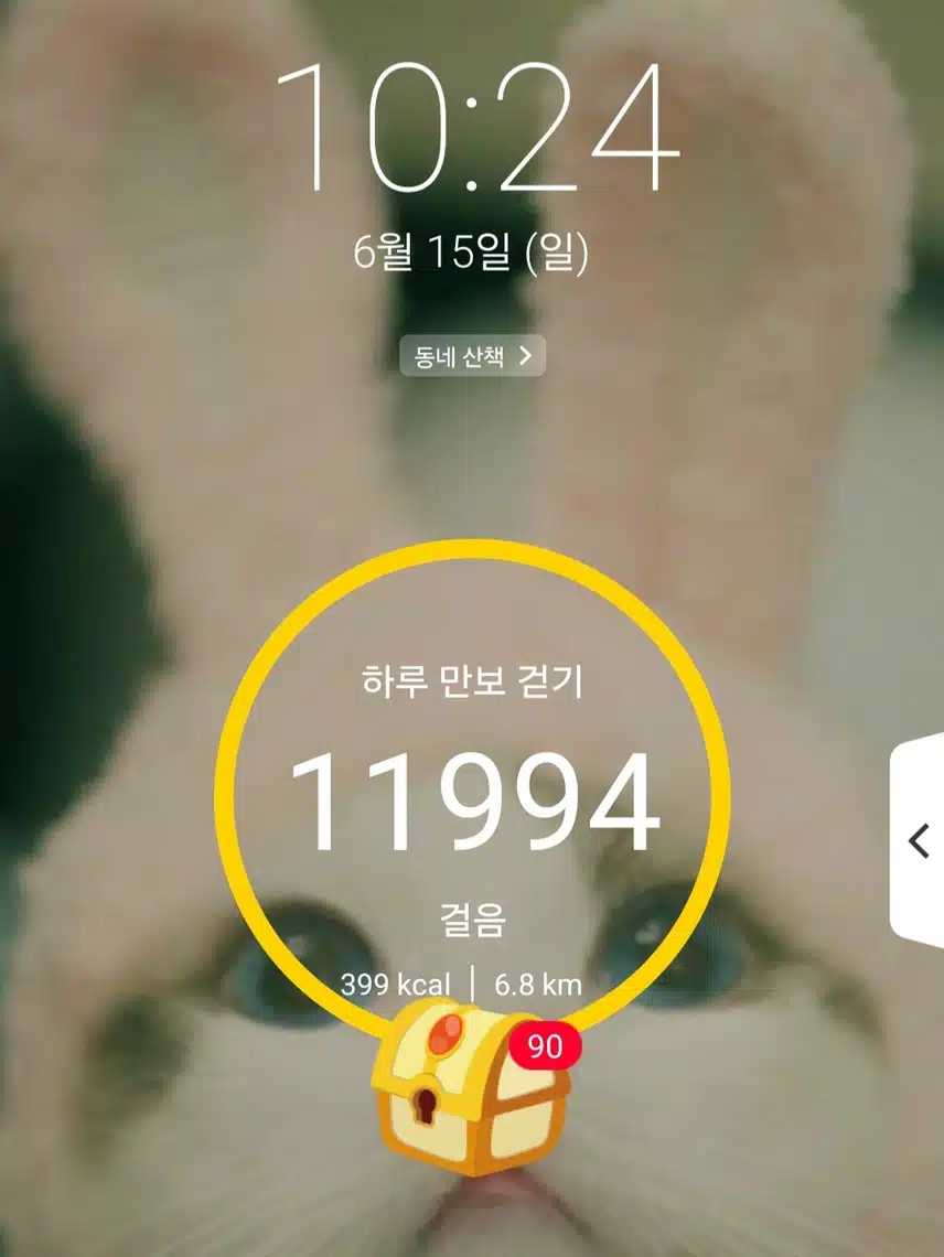 만보달성 