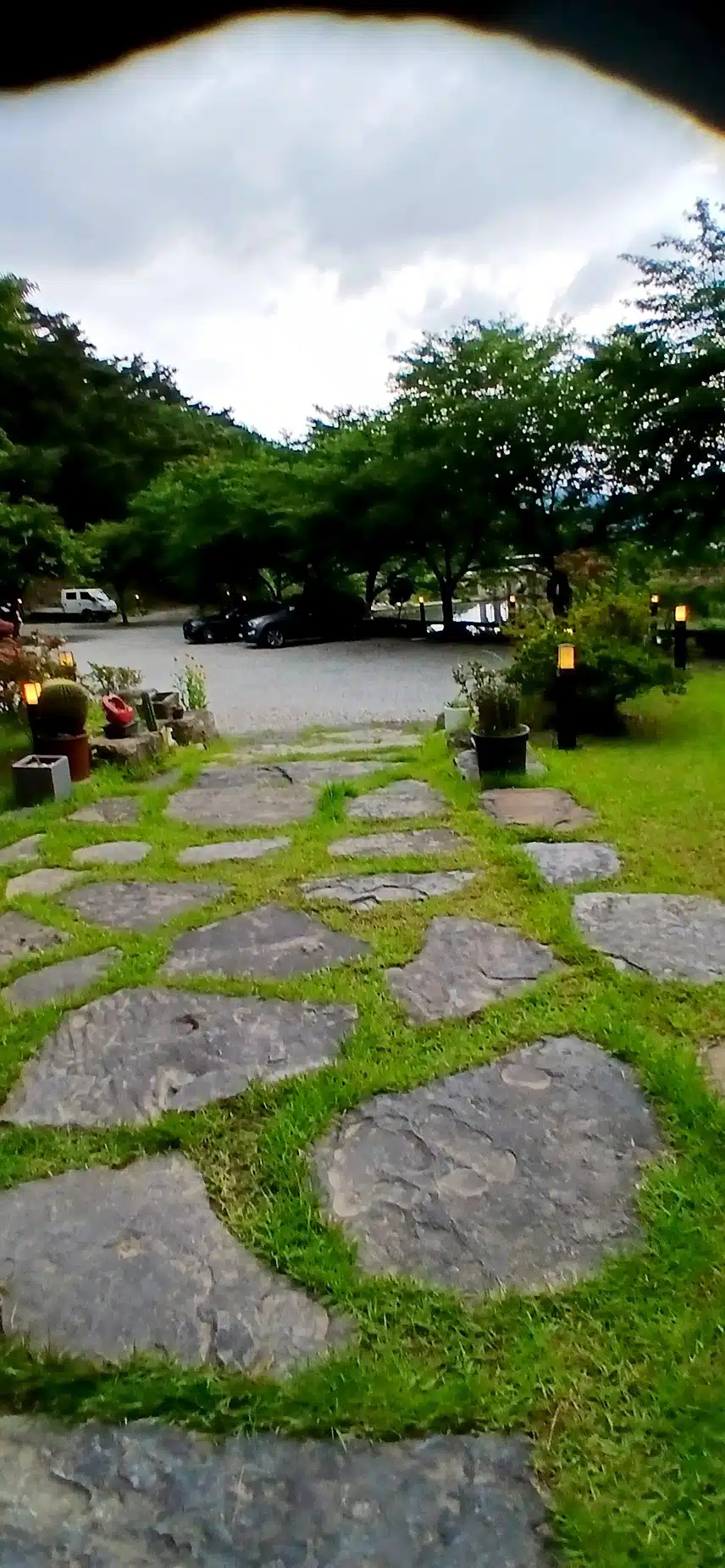 멀리  가서 외식