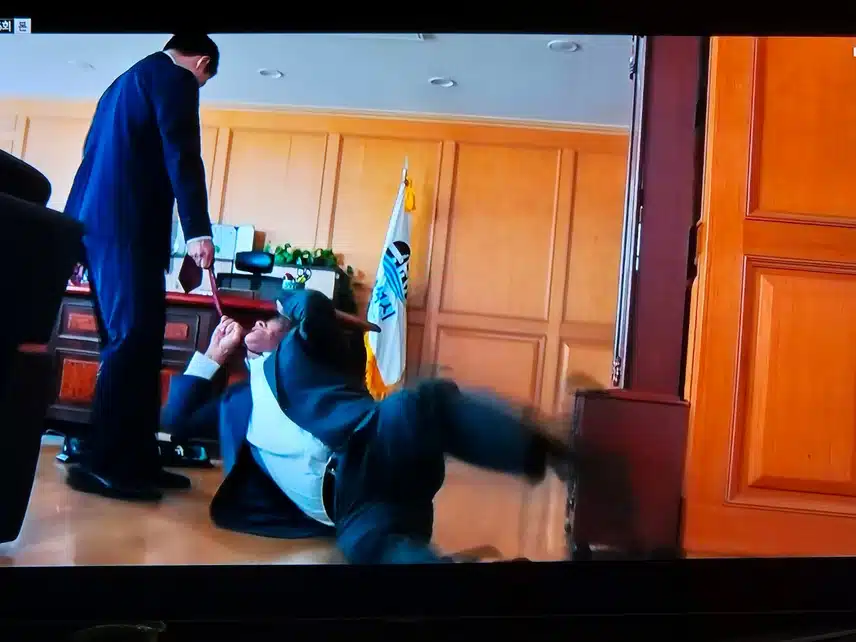민주영 시장님도 막 다루네요