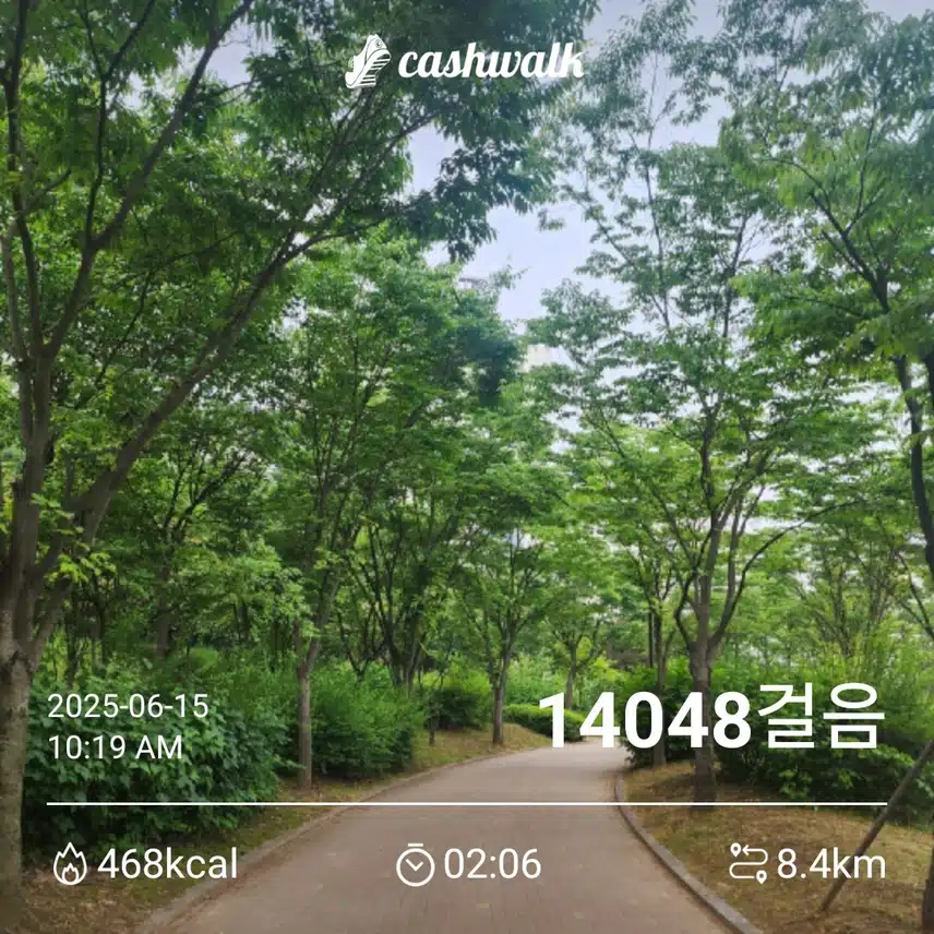 일요일 만보걷기 ~~