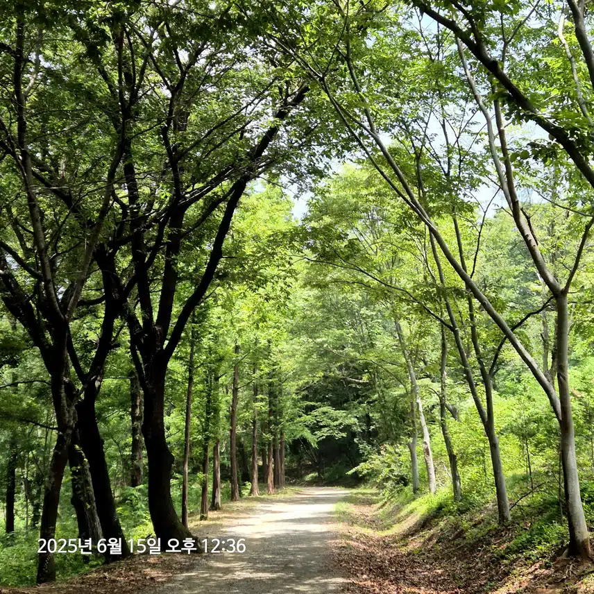 비온 다음 날 산행 ~