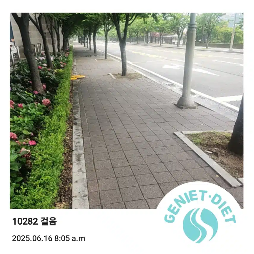 만보걷기 