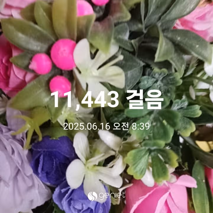 오전 운동 