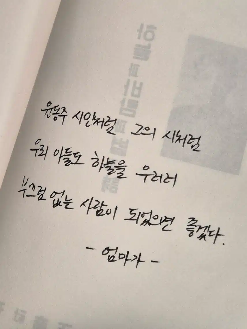 🎂오늘 생일인 보검님 