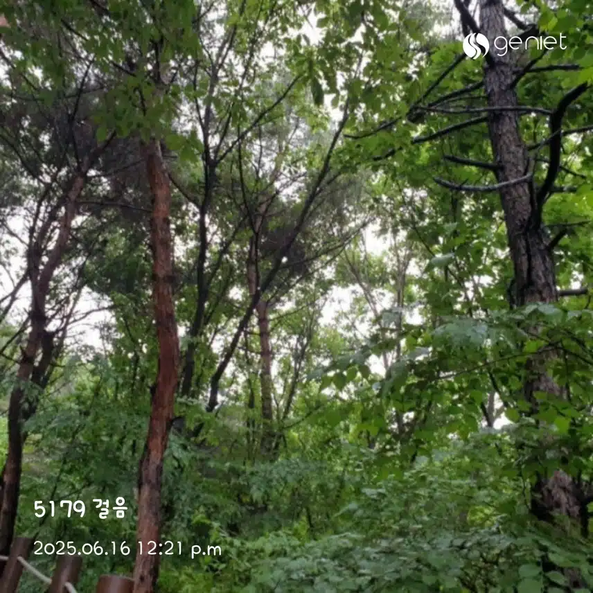 아침 산책~🌳