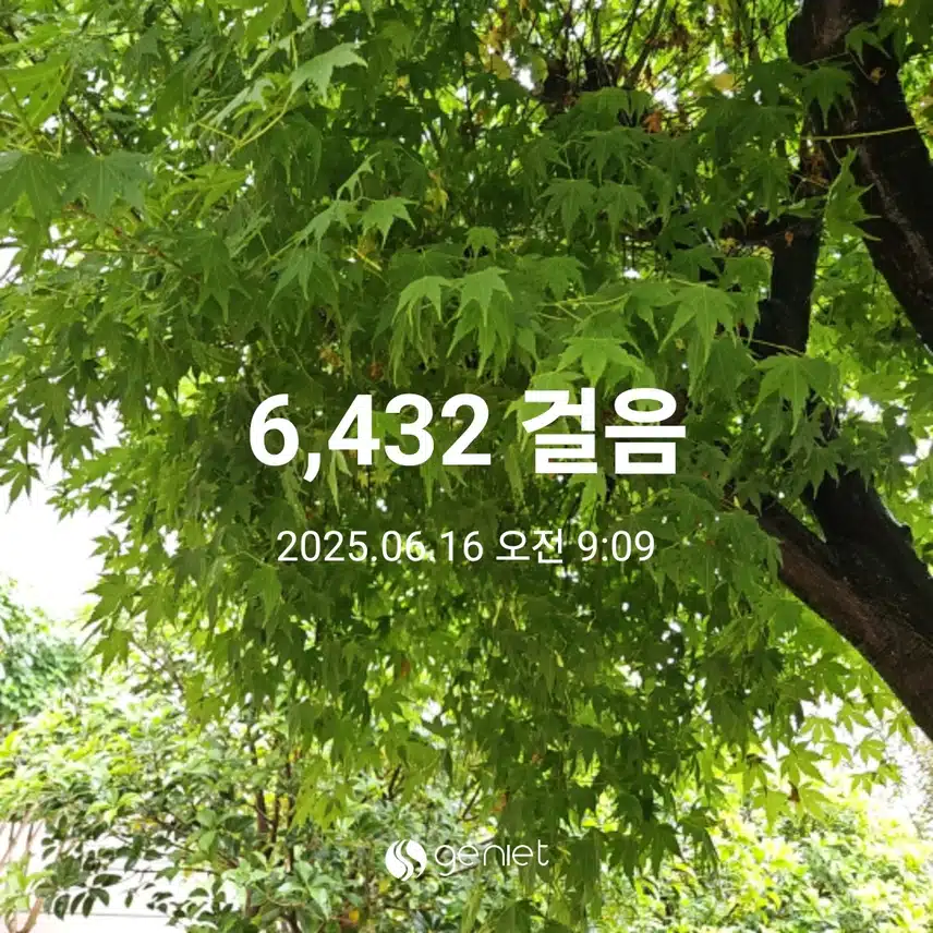아침 산책 🏃