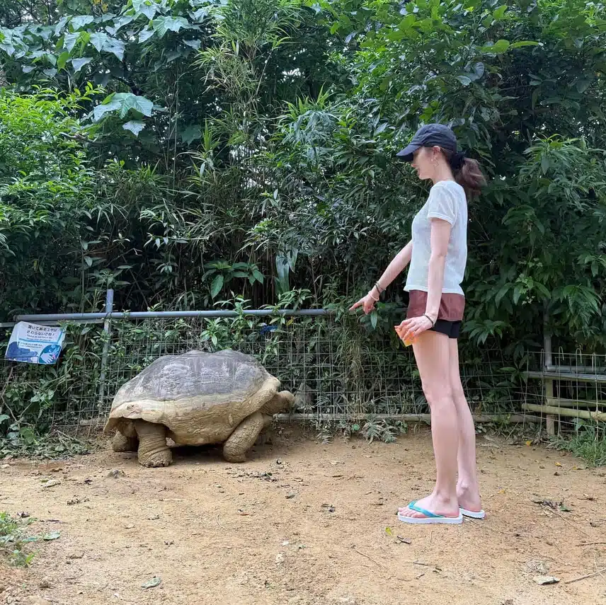 오늘 지젤 인스타 업뎃