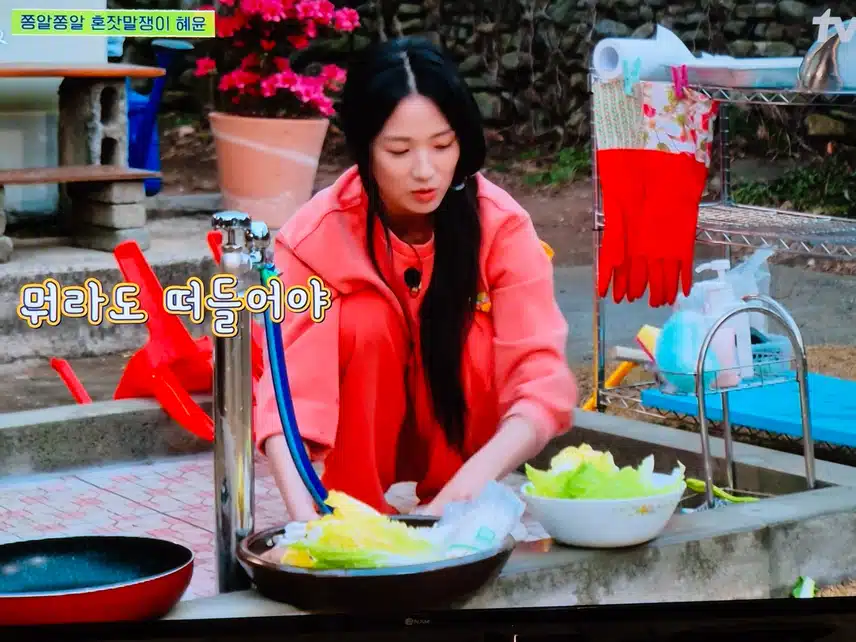 언니네 산지직송에 김혜윤이 찾아왔네요