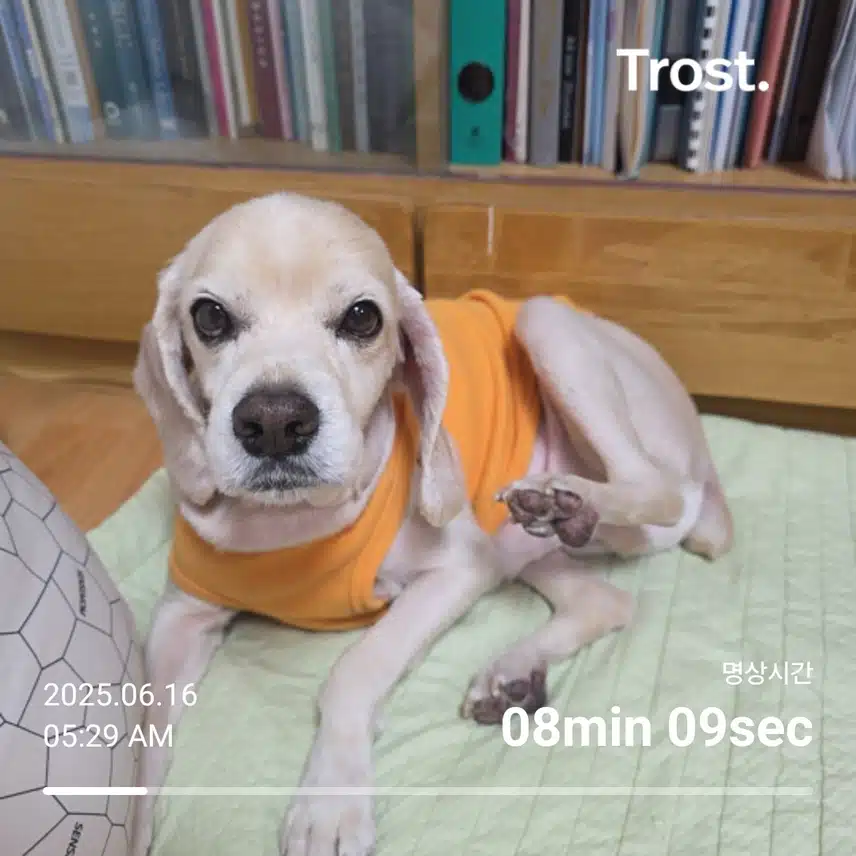 월요일 아침 