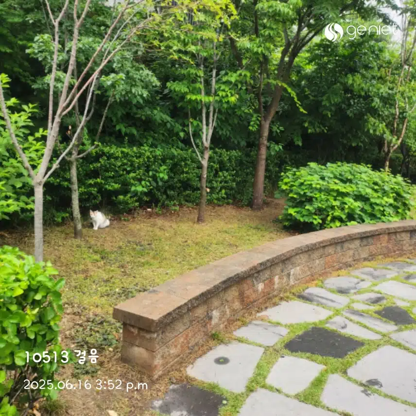 오후 산책길~