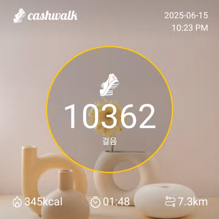 일요일 만보