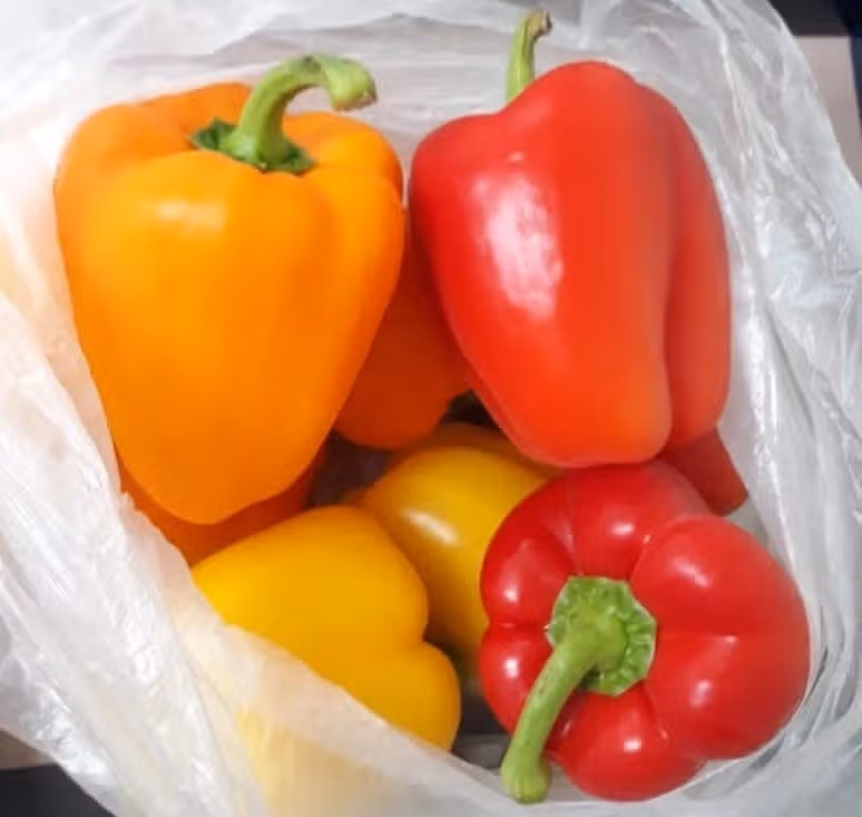 삼색 파프리카