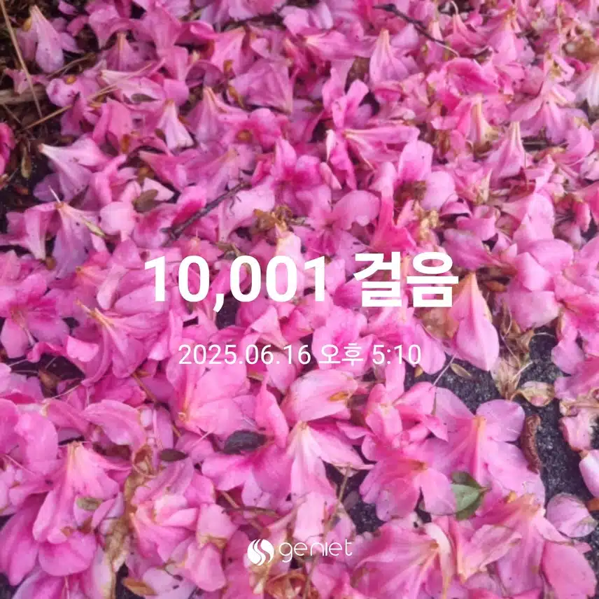 헬요일의 만보