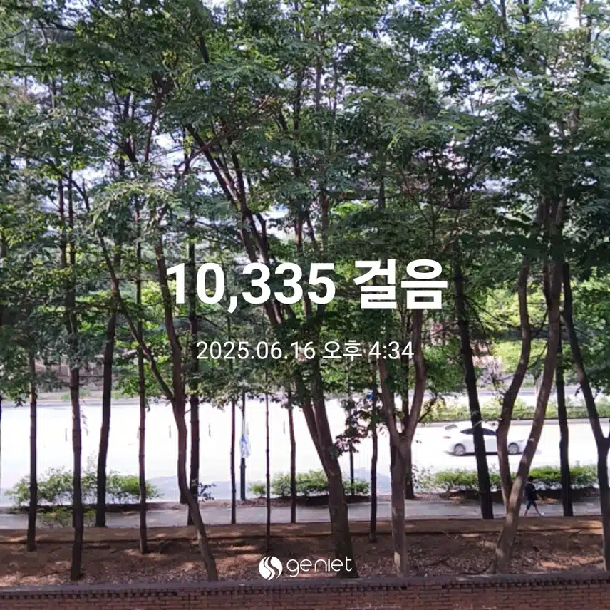 월요일 걷기운동^^