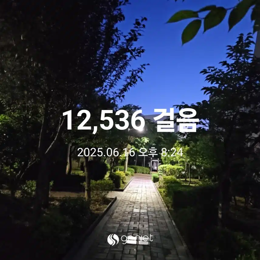 푸른 노을빛 산책길 걸었네요.🏃🏃