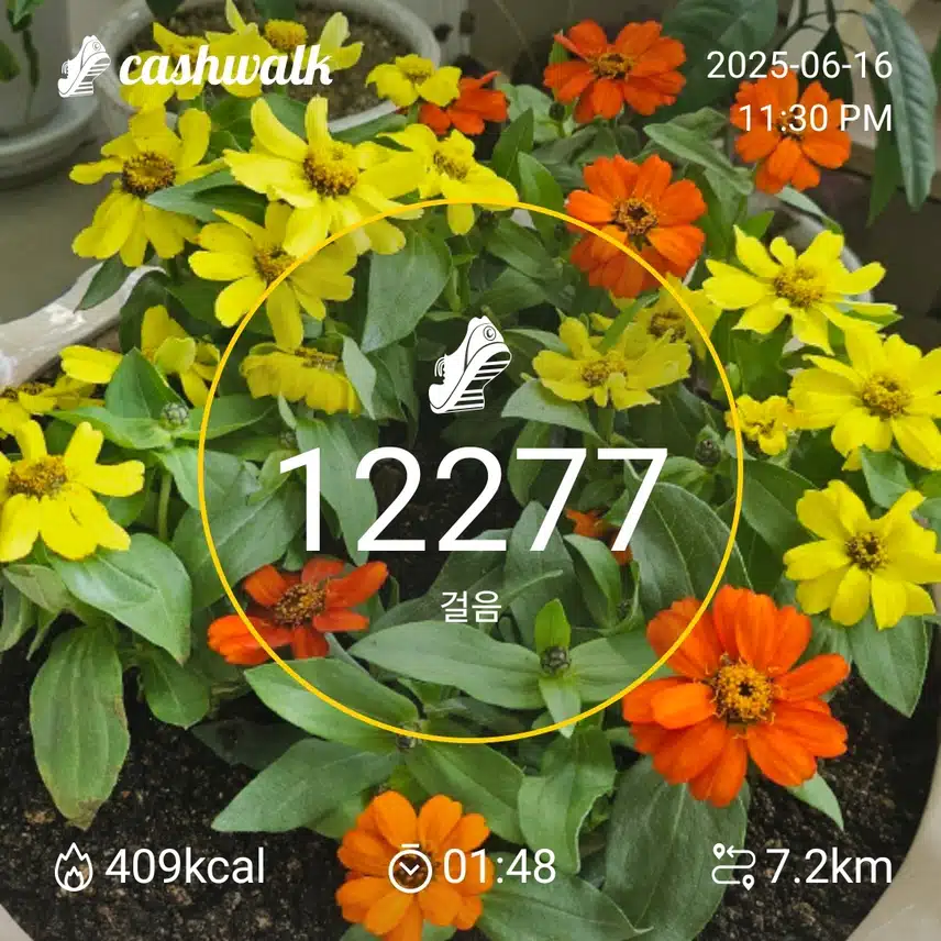 11.6월16일 월요인(밤운동)