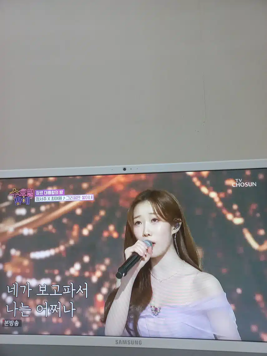 정서주양의 애절한 노래 그리움만 쌓이네
