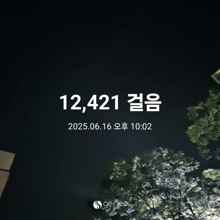 오늘의 걷기