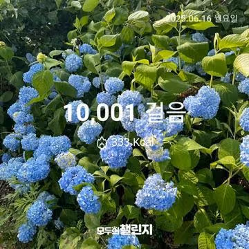 6월 16일 만보 완주 