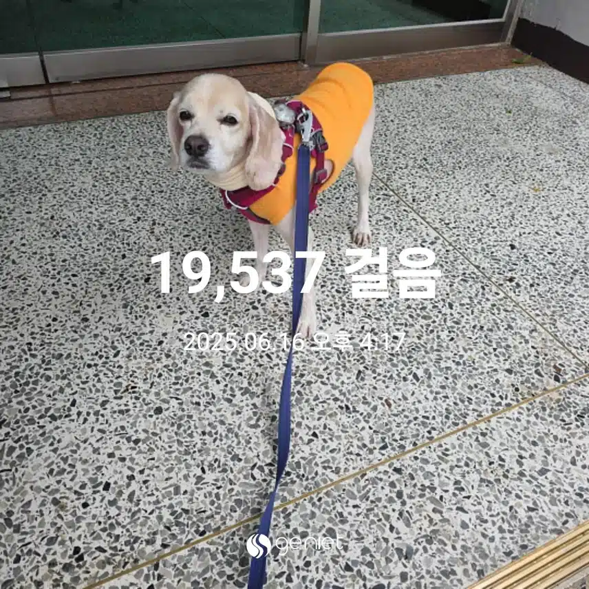 월요일 마무리