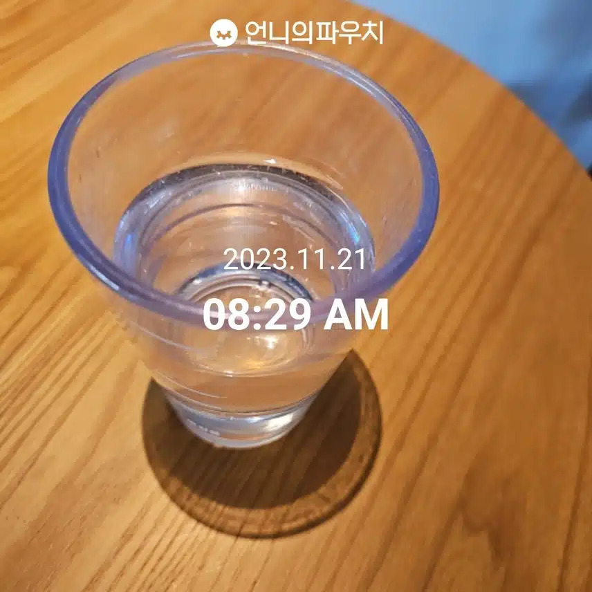 11월 21일  화요일 