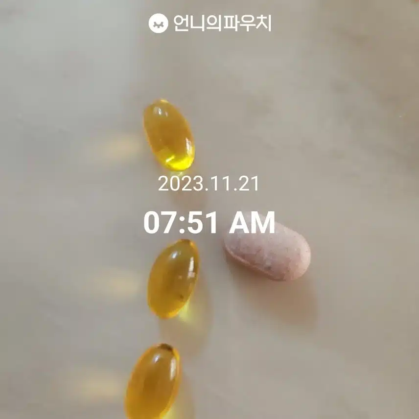 11월 21일 화요일 